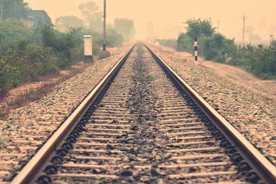 Railway tracks amidst trees