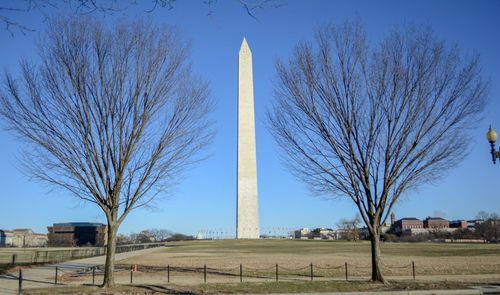 Bare tree on field against clear sky