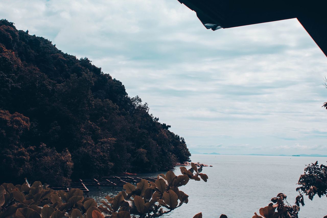 sea, sky, nature, beauty in nature, scenics, day, beach, cloud - sky, water, large group of animals, outdoors, animal themes, horizon over water, large group of people, animals in the wild, real people, mammal, bird, tree, people