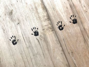 Black hand prints on wood 