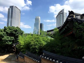 Trees and skyscrapers against sky