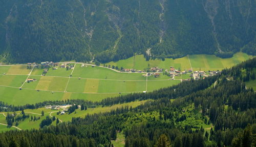 Scenic view of agricultural field by trees and mountains