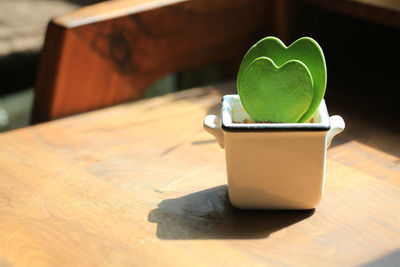 Potted plant with the love sharped leaf on desk