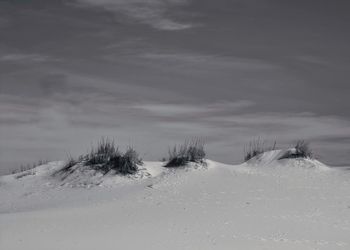 Scenic view of beach against sky during winter