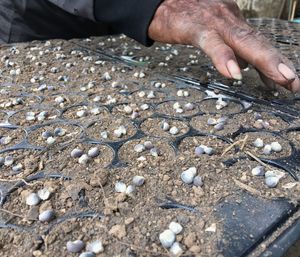 Close-up of hands working