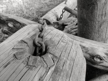 Close-up of wood on wooden post