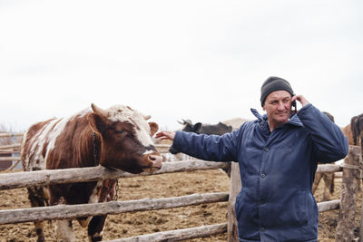 The farmer is talking on the phone and stroking the bull. businessman in the village. cattle rancher