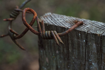 Close-up of rusty metal fence