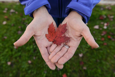 Cropped hands holding maple leaf on field during autumn