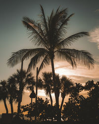 Silhouette palm trees against sky during sunset