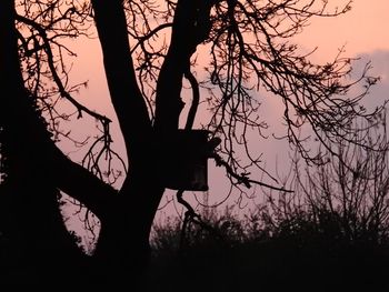 Low angle view of silhouette bare tree against sky