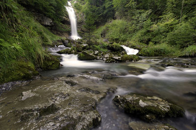 Scenic view of waterfall in forest