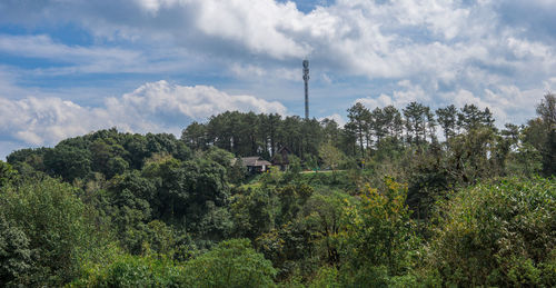 Plants and trees on landscape against sky