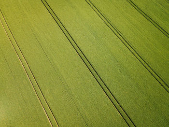 Full frame shot of agricultural field