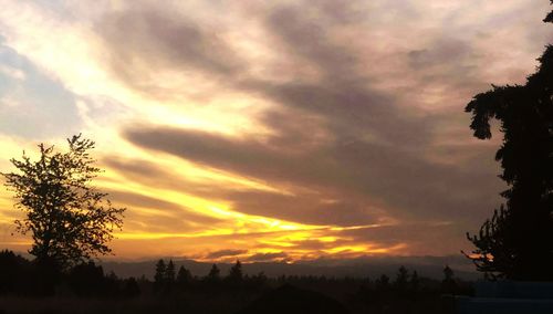 Silhouette trees on landscape against sky at sunset