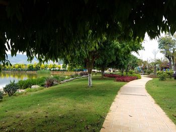 Footpath by lake in park