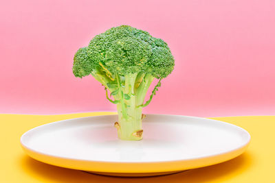 Close-up of green leaf on table