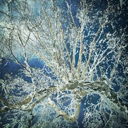 Full frame shot of frozen tree against sky