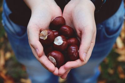 Midsection of person holding chestnuts