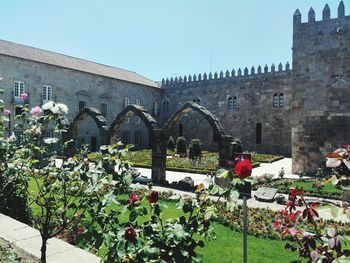 View of flowers against building