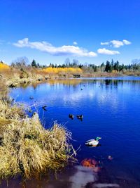 Scenic view of lake against sky