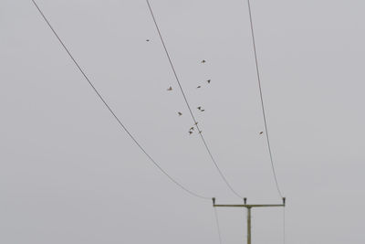 Low angle view of power lines against clear sky