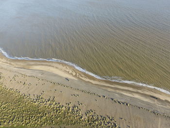 Aerial view of beach