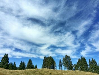 Low angle view of trees against cloudy sky