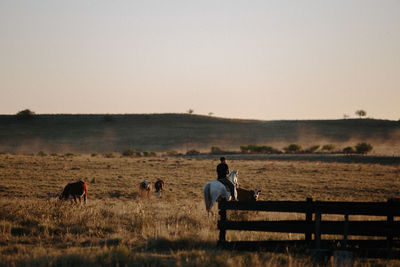 Men sitting on field against clear sky