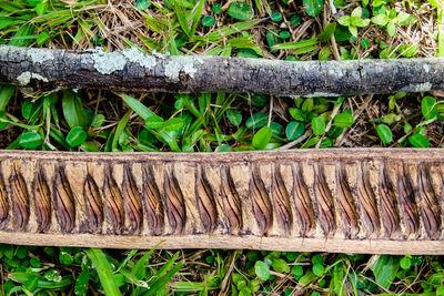 Close-up of wood on grass