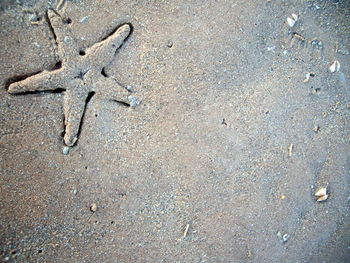 High angle view of text on sand