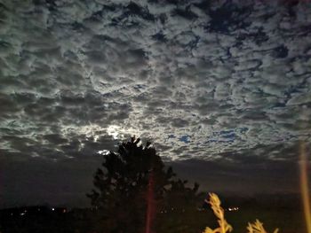 Silhouette of tree against cloudy sky