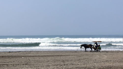 Horses riding horse on beach