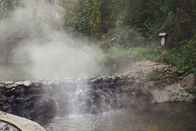 View of waterfall in forest