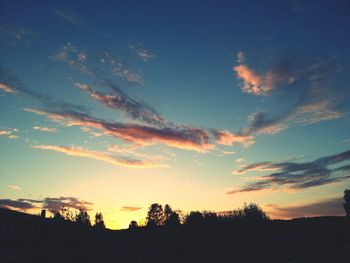 Silhouette of trees at sunset