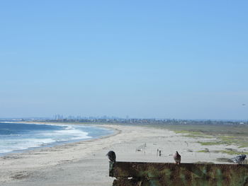 People on beach against clear sky