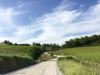 Road passing through field