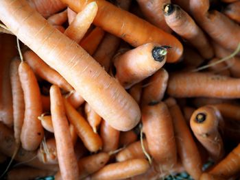 Detail shot of carrots