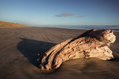 Driftwood on beach by sea against sky