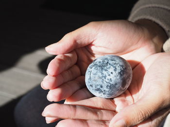 Close-up of person holding egg