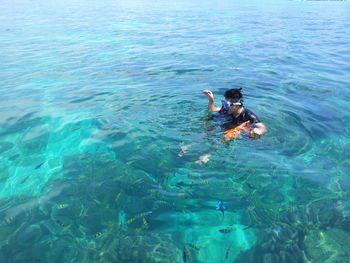 High angle view of swimming in lake