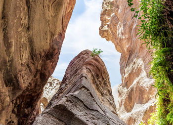 Rock formations in forest