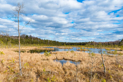 Trakai historical national park, botanical zoological reserve, cognitive trail, long winding path