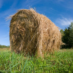 Hay bales on field against sky
