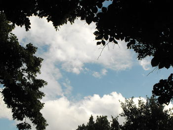 Low angle view of trees against cloudy sky