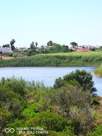 Scenic view of lake against clear sky