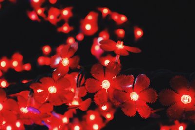 Close-up of illuminated christmas lights against black background