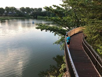 Reflection of tree on bridge over lake