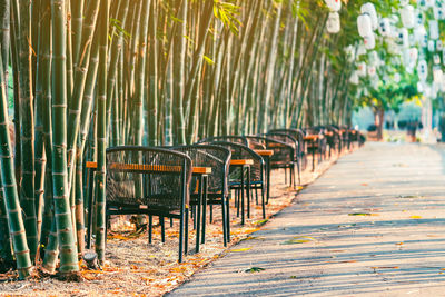 View of empty chairs in park