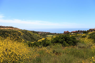 Scenic view of green landscape and sea against sky